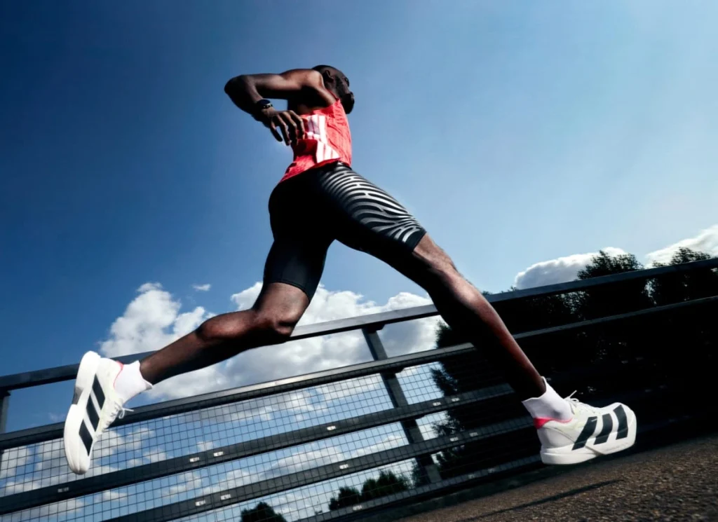 Estudio SEO marcas deportivas como Adidas, Nike, Puma y Under Armour