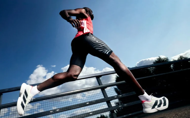 Estudio SEO marcas deportivas como Adidas, Nike, Puma y Under Armour